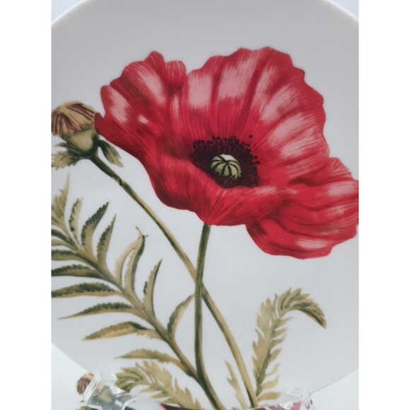 Roscher Red Poppy Lunch Plate Salad Botanical Summer 8" Set Of 2 - Picture 2 of 5